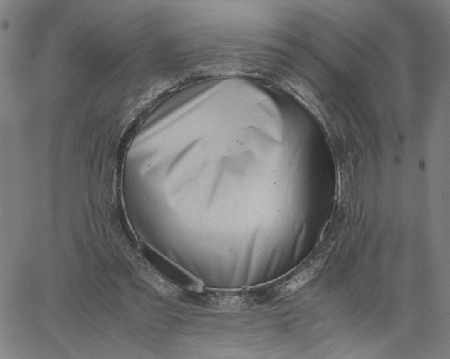 X0000065250301200603031810