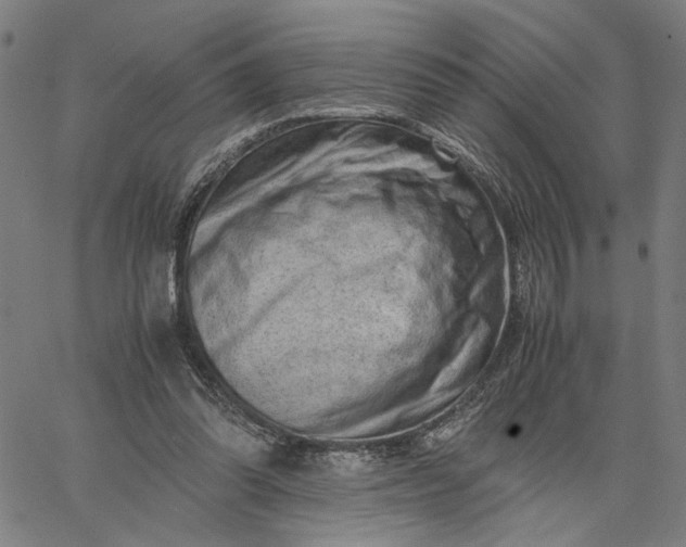 X0000065250302200603031810