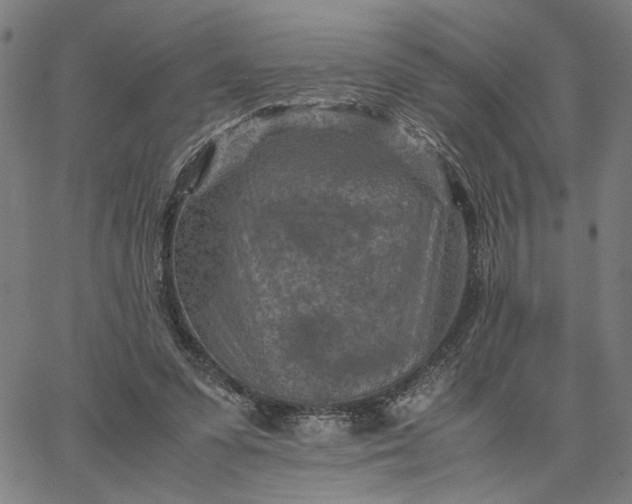 X0000065250303200603031810