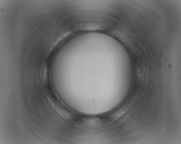 X0000065250304200603031810