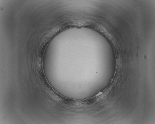 X0000065250305200603031810