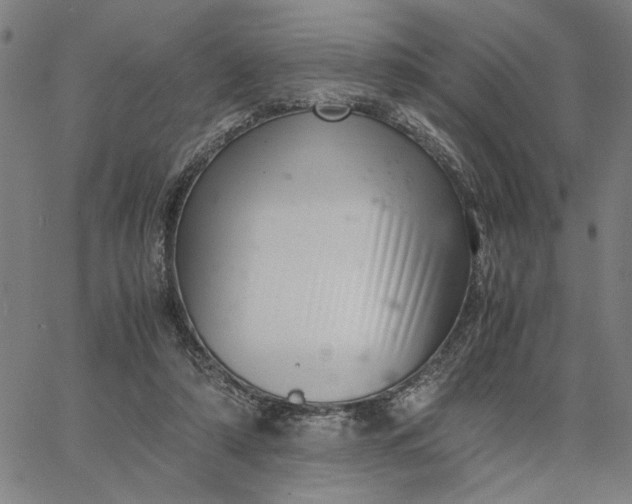 X0000065250306200603031810