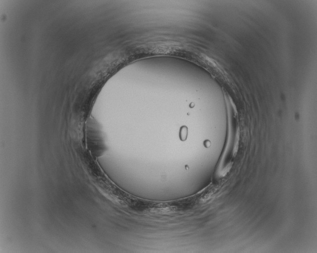 X0000065250307200603031810