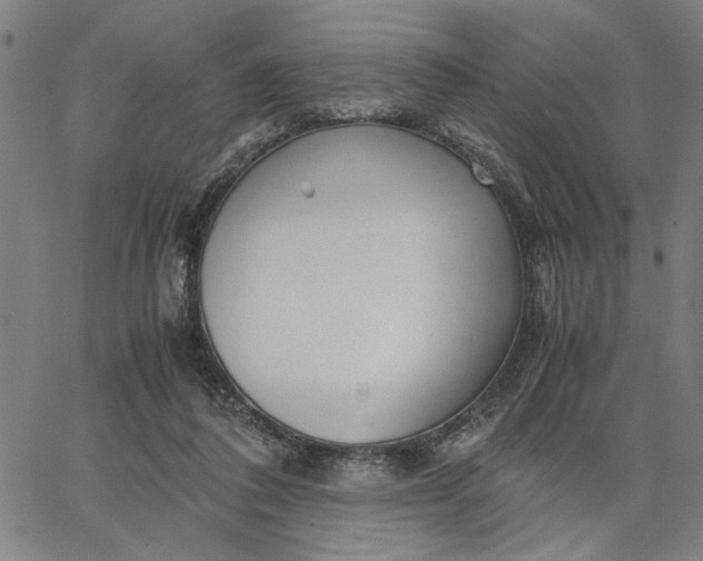 X0000065250308200603031810