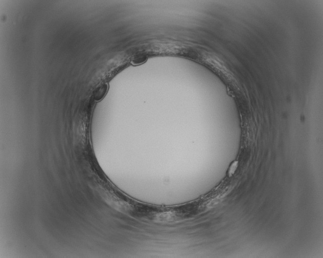 X0000065250309200603031810