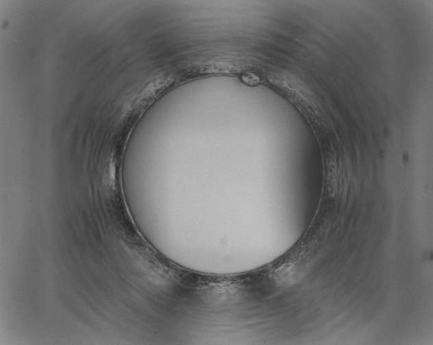 X0000065250310200603031810