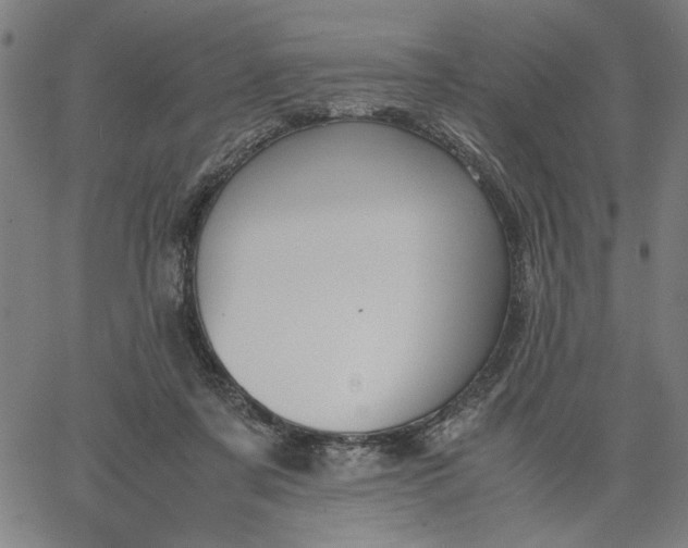 X0000065250311200603031810