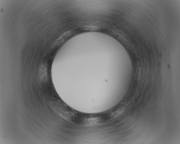 X0000065250312200603031810