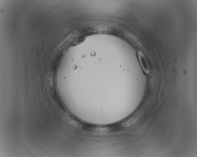 X0000065250313200603031810