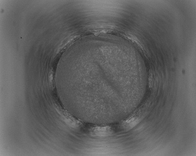 X0000065250314200603031810