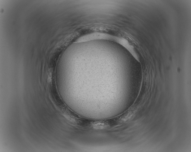 X0000065250315200603031810