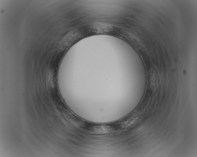 X0000065250316200603031810