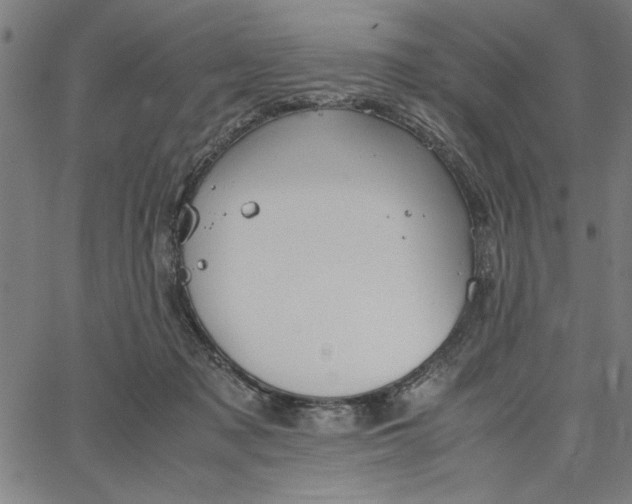 X0000065250317200603031810