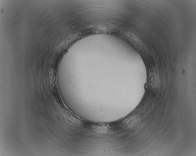 X0000065250318200603031810