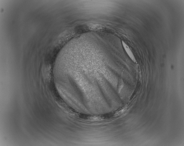 X0000065250319200603031810