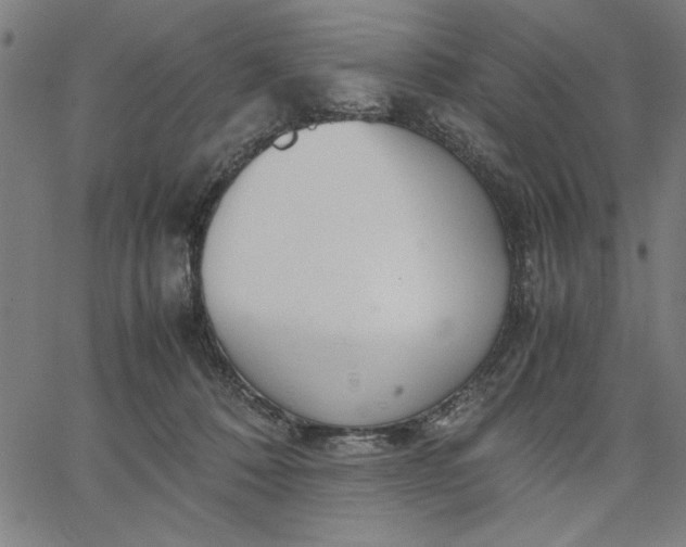 X0000065250320200603031810