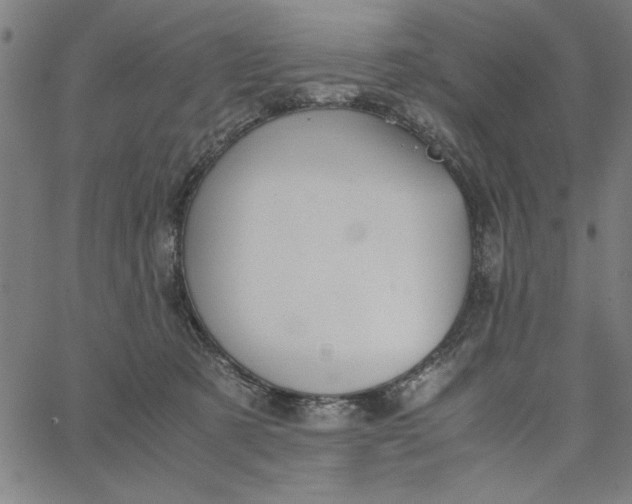 X0000065250321200603031810