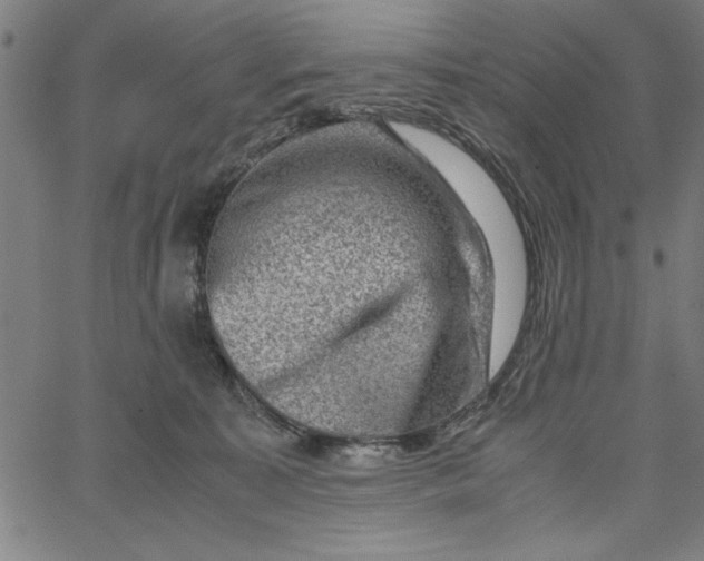 X0000065250323200603031810