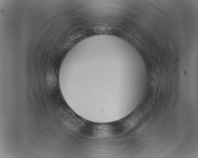 X0000065250324200603031810