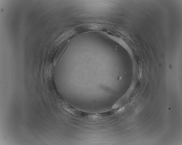 X0000065250325200603031810