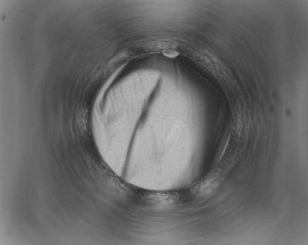 X0000065250326200603031810