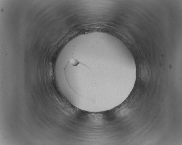 X0000065250328200603031810