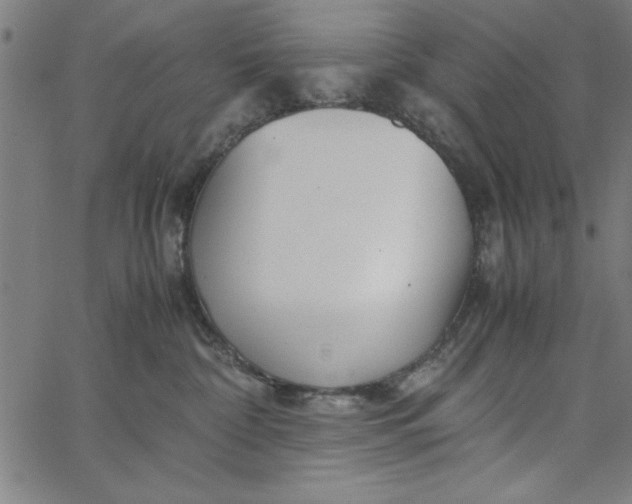 X0000065250332200603031810