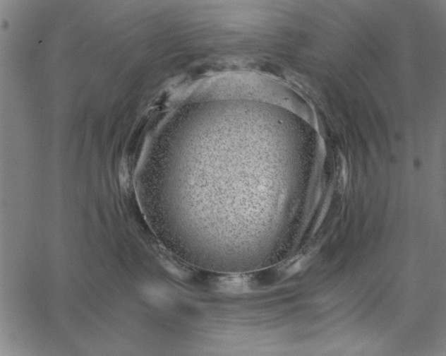 X0000065250335200603031810