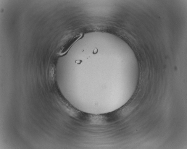 X0000065250336200603031810