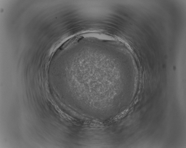 X0000065250337200603031809