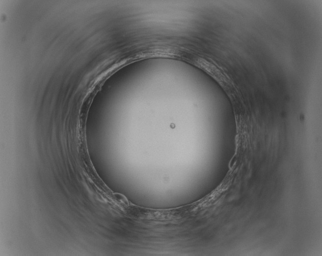 X0000065250338200603031809