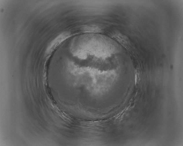 X0000065250339200603031809