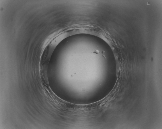 X0000065250340200603031809