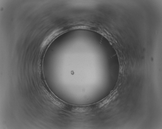 X0000065250341200603031809