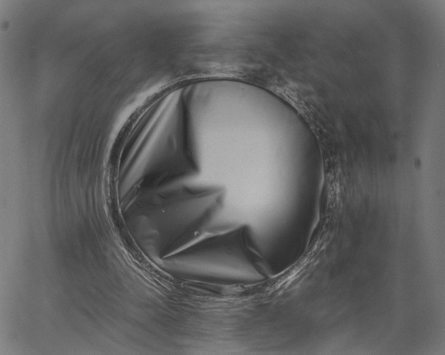 X0000065250342200603031809