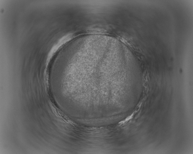 X0000065250343200603031809