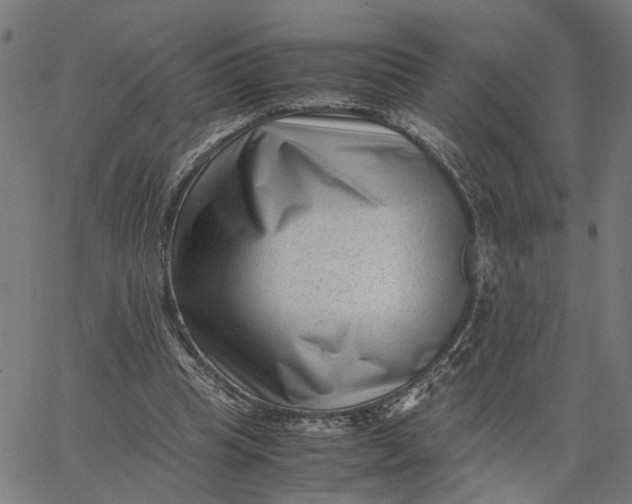 X0000065250345200603031809