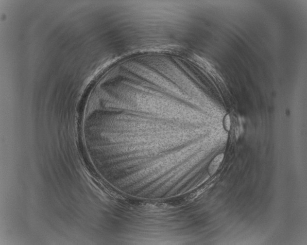 X0000065250346200603031809