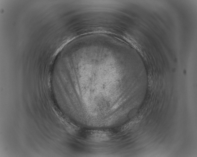 X0000065250347200603031809