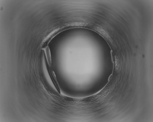 X0000065250348200603031809