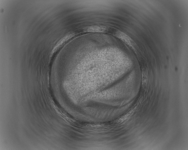 X0000065250349200603031809