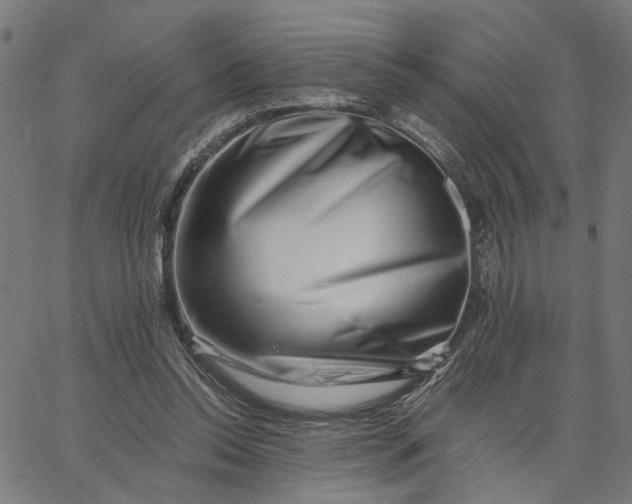 X0000065250350200603031809