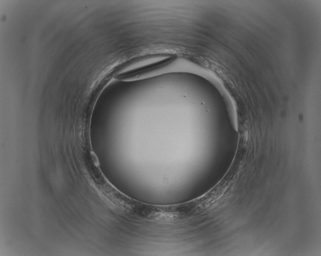 X0000065250352200603031809