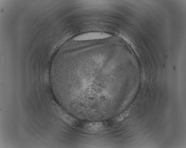 X0000065250353200603031809