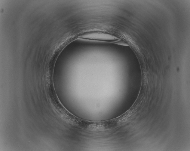 X0000065250354200603031809