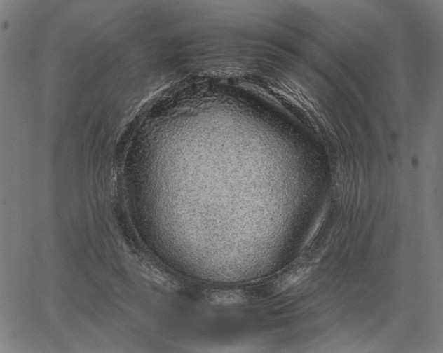 X0000065250355200603031809