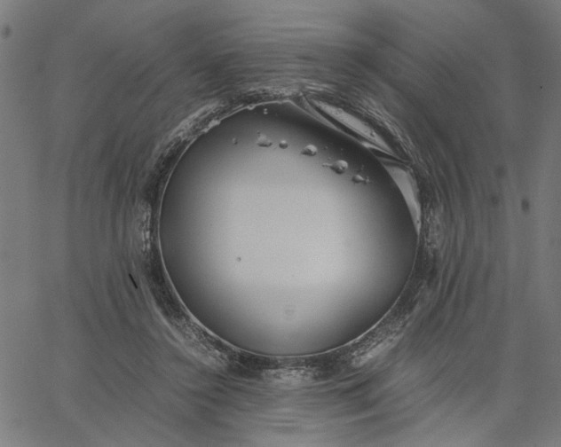 X0000065250356200603031809