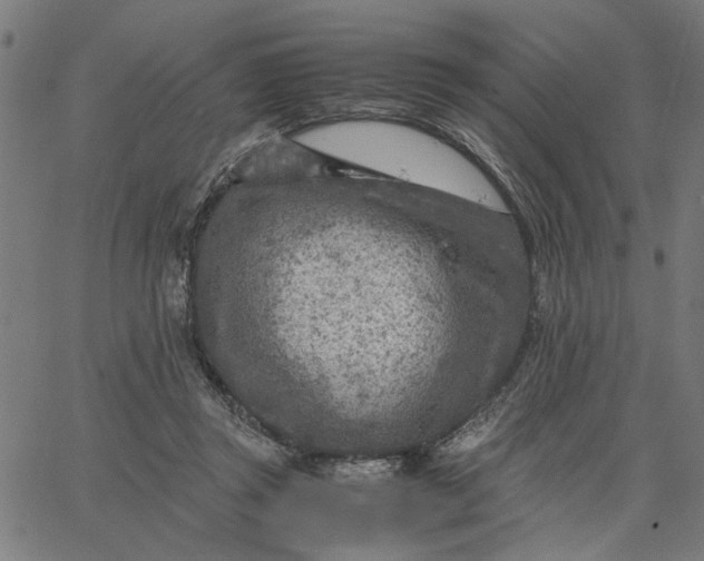 X0000065250357200603031809