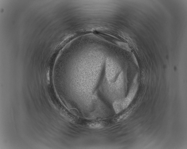 X0000065250358200603031809