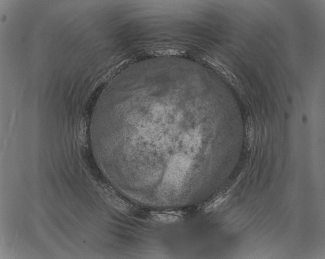 X0000065250359200603031809